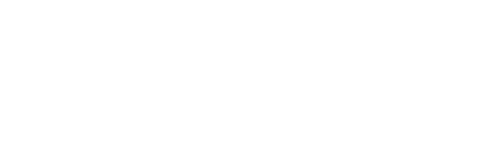 Diseñador web Guadalajara